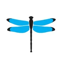 Dragonfly Digital Marketing Dragonfly Digital Marketing