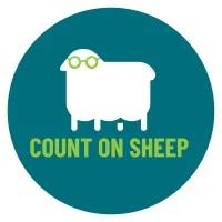 Count On Sheep