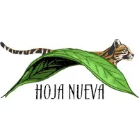Hoja Nueva