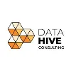 Data Hive Consulting Data Hive Consulting
