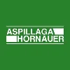 Aspillaga Hornauer Aspillaga Hornauer