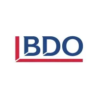 BDO Türkiye email format