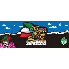 Mexican Scout Association