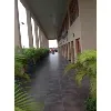 BANANA ISLAND SCHOOL
