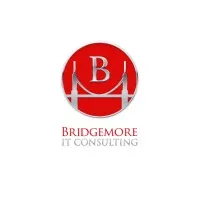 Bridgemore IT Consulting