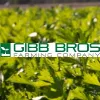 Gibb Bros Farming Company Gibb Bros Farming Company