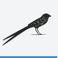 Scissortail Executive Advisors