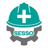 Servicio Especializado en Seguridad y Salud Ocupacional