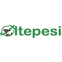 OLTEPESI TOURS & TRAVEL LTD
