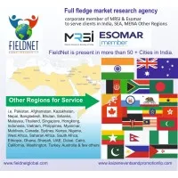FIELDNET Global Research
