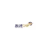 Blue Chip Flight School Blue Chip Flight School