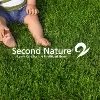 Second Nature Lawn Care Second Nature Lawn Care