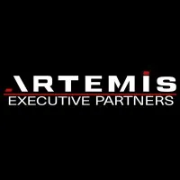 ARTEMIS EXECUTIVE PARTNERS ARTEMIS EXECUTIVE PARTNERS