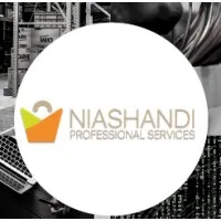Niashandi Professional Services