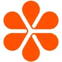 ddlnfoundation