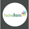 TECHIE BRAINS INCORPORATED TECHIE BRAINS INCORPORATED