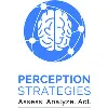 Perception Strategies Perception Strategies