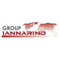 Iannarino Consulting Inc.