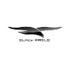 BlackEagle Aviation BlackEagle Aviation