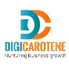 Digi Carotene - The Digital Marketing Agency