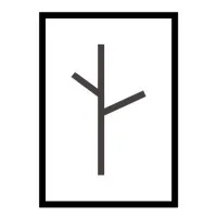 Birch Infrastructure, PBLLC