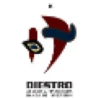 Diestro S de RL de CV Diestro S de RL de CV