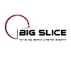 BIG SLICE TECHNOLOGIES PRIVATE LIMITED (OPC)