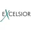 Excelsior LLC