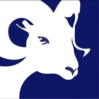 RAM Windows & Doors