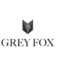 Grey Fox