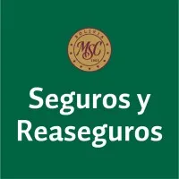 Seguros y Reaseguros Mercantil Santa Cruz