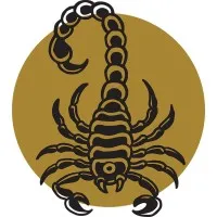 Timeless Coffee & Bakery Timeless Coffee & Bakery