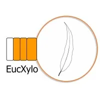 EucXylo