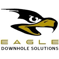 Eagle Downhole Solutions, LLC