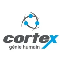 Cortex génie humain Cortex génie humain