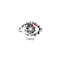 Cateye Consultancy Services Private Limited