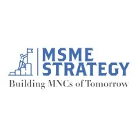 MSME Strategy Consultants