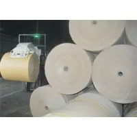 DR Paper Industries Ltd. (A Unit of DR Group)