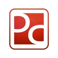 P4Digital Groups