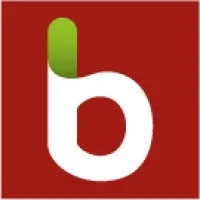 Brand Interactive Communications Inc.