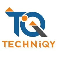 Techniqy Consulting Solutions