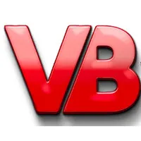 VB WEB CONSULTANT
