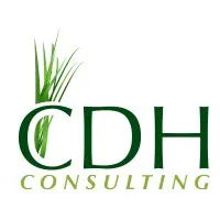 CDH Consulting CDH Consulting