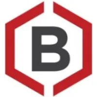 BIGIS Experts-Conseils