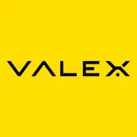 Valex Group LLC