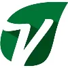Vine Vine