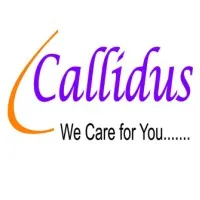 Callidus Research Laboratories Pvt. Ltd