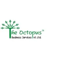 THE OCTOPUS BUSINESS SERVICES PVT LTD THE OCTOPUS BUSINESS SERVICES PVT LTD
