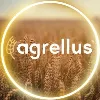 Agrellus Agrellus