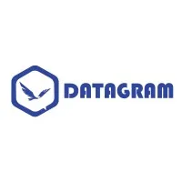 Datagram Network Technologies L.L.C